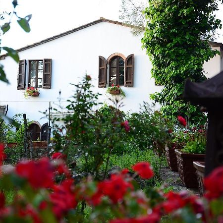 Prato A Baldo Villa Massa Marittima Eksteriør billede