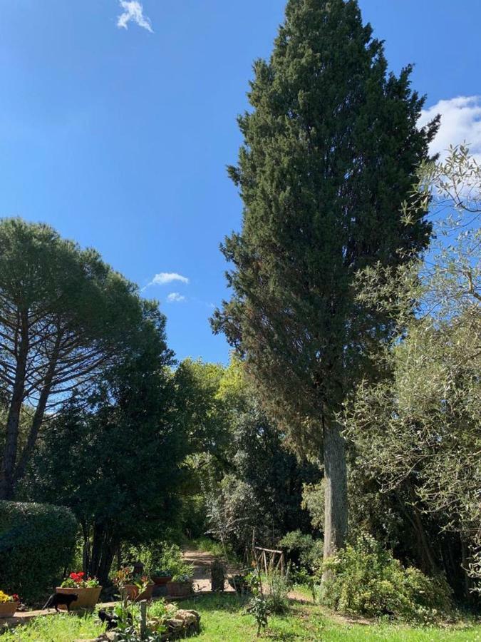 Prato A Baldo Villa Massa Marittima Eksteriør billede